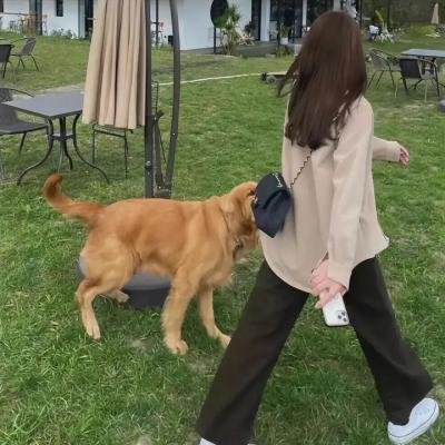 桃色情杀案